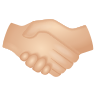 Partners Handshake